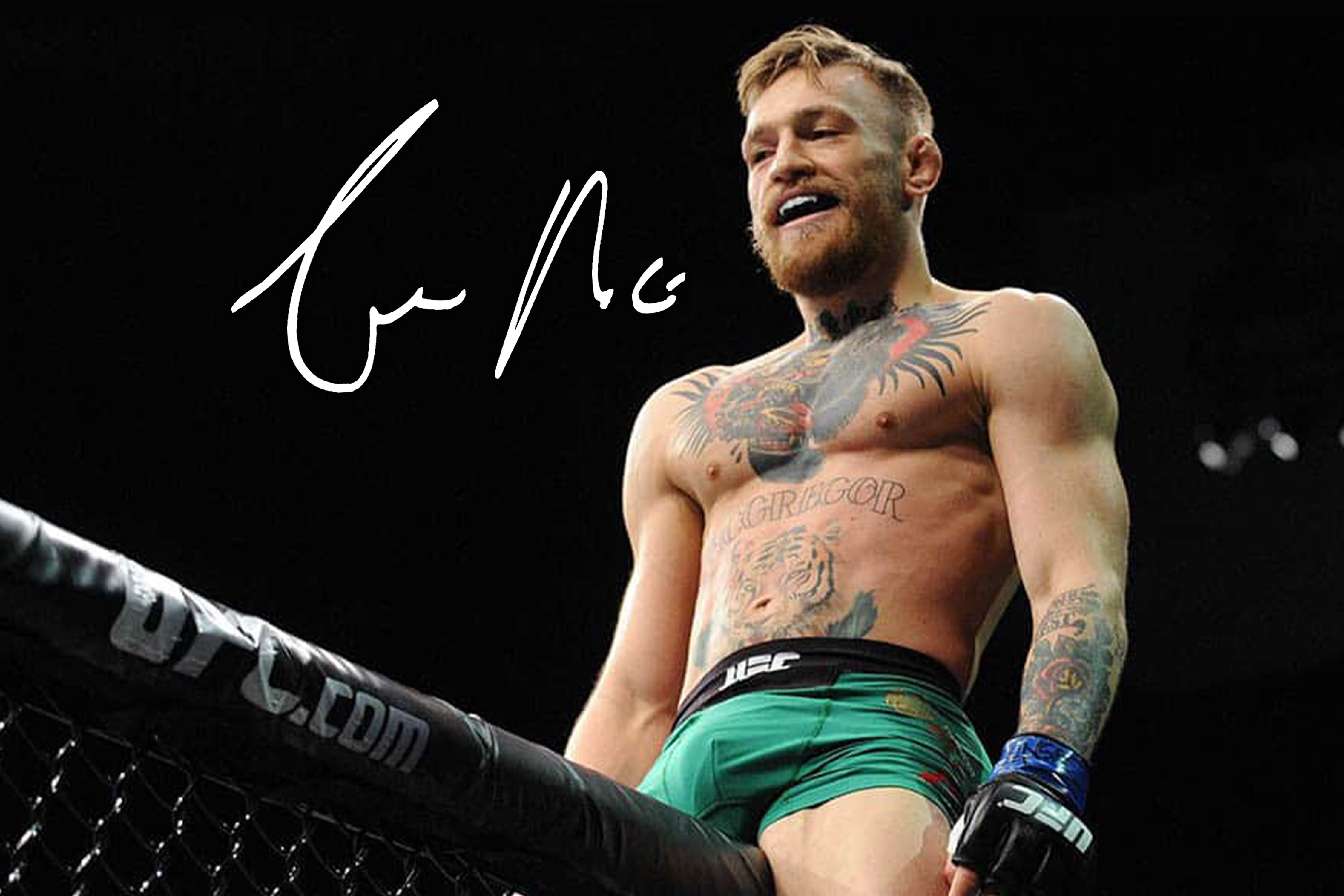 The 25 Best UFC Fighters Of All Time // ONE37pm